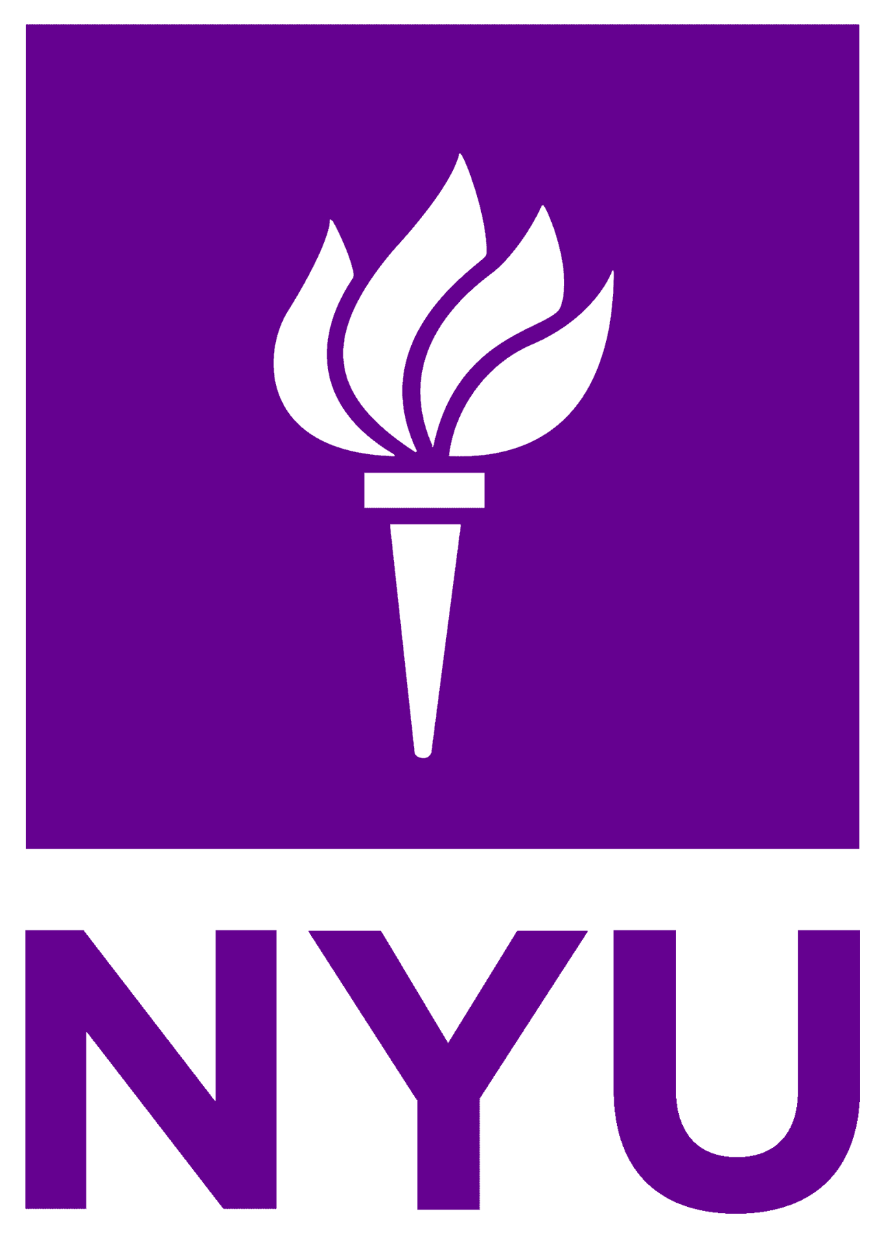 New York University